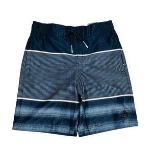 Blue Striped Swim Shorts
